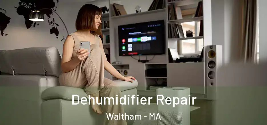  Dehumidifier Repair Waltham - MA