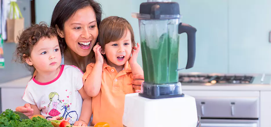Juicer and Mixer Blender Repair in Waltham 