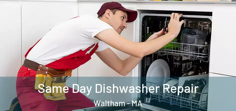  Same Day Dishwasher Repair Waltham - MA