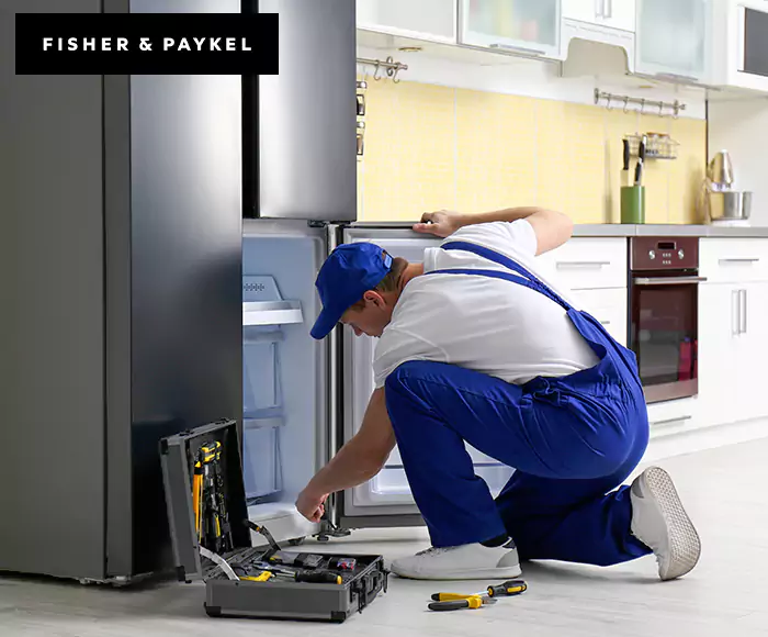 Top-Rated Fisher & Paykel Appliance Experts: Your Brand Specialist in Waltham, MA